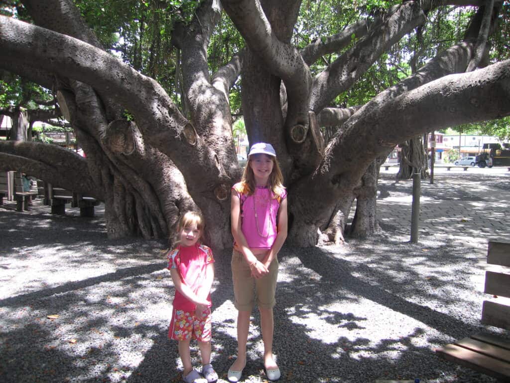 Two young girls posing with banyan tree in Lahaina Town, Maui.