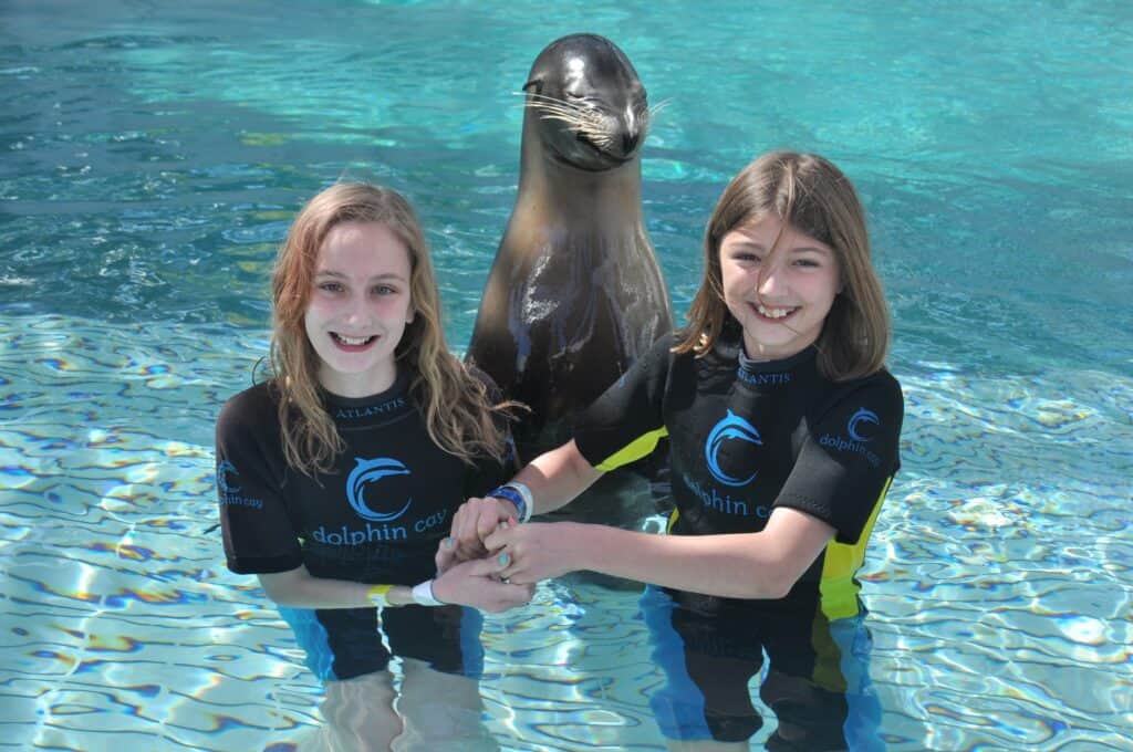 Two young girls posing with a sealion at Dolphin Cay at Atlantis Bahamas.