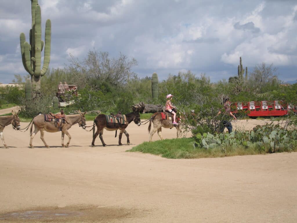 Burro rides at Rawhide, Scottsdale, Arizona.