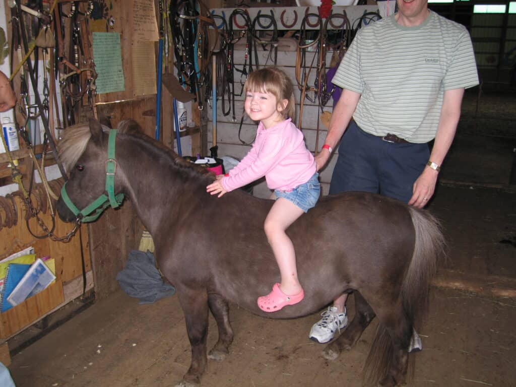 Toddler girl in pink shirt and denim shorts sitting on small pony with dad standing beside in stables in Baddeck, Cape Breton Island.