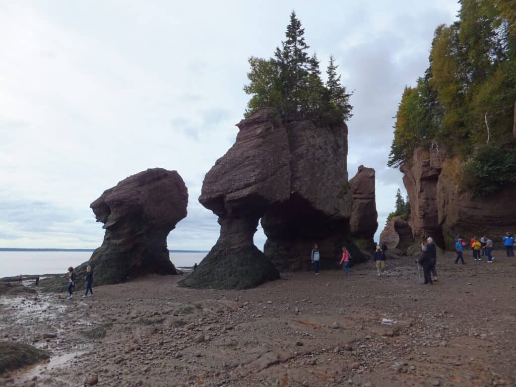 People walking on ocean floor at low tide around Hopewell's flower pot rocks.