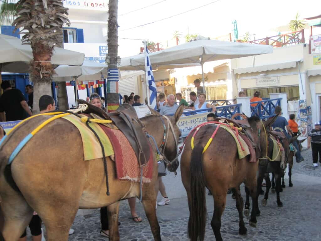 line of donkeys walking through street on santorini.