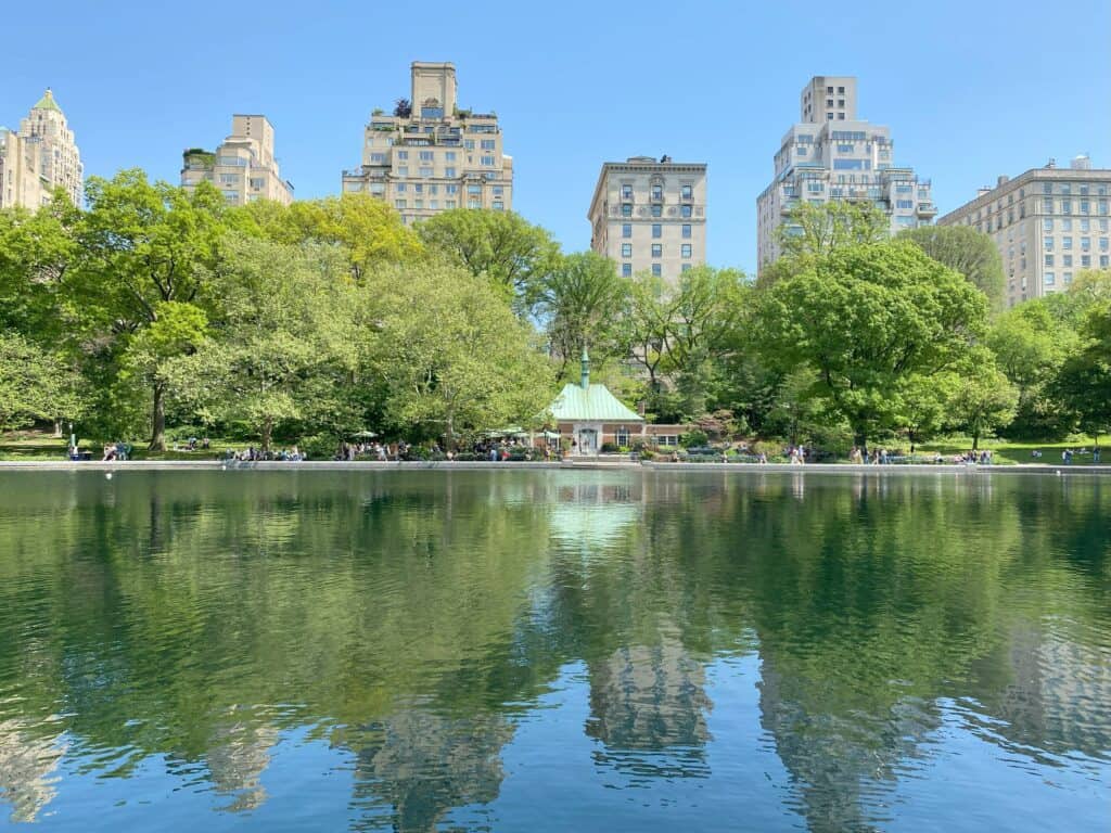 Reflection of trees and buildings in water in Central Park in springtime.