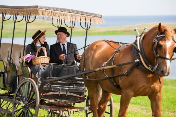 Man and young woman dressed as Anne of Green Gables and Matthew Cuthbert riding in carriage pulled by one brown horse at Silver Bush, PEI.