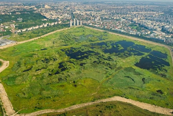 Vacaresti Natural Park in Bucharest, Romania.