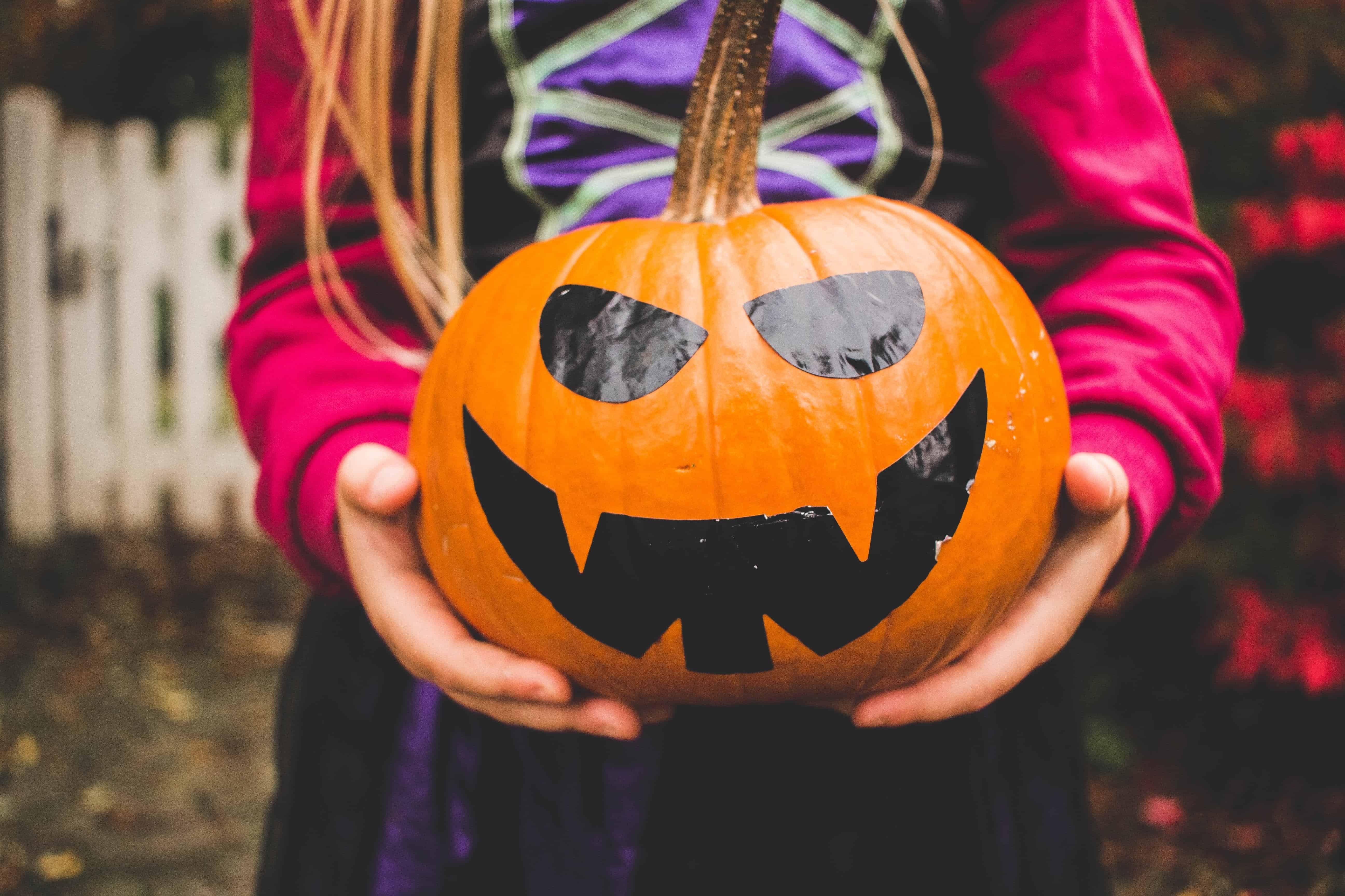 toronto zoo halloween 2021