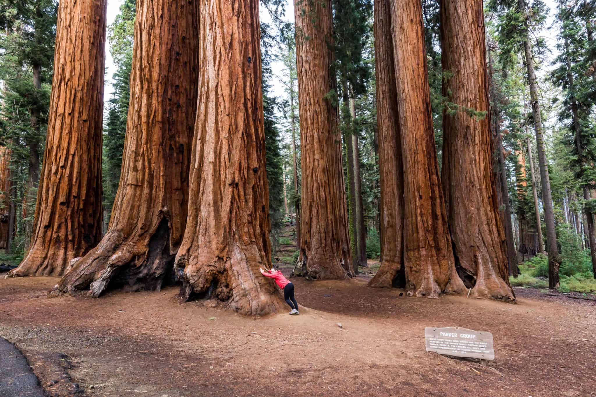 The Best Family Adventures in Yosemite National Park - Gone With The Family