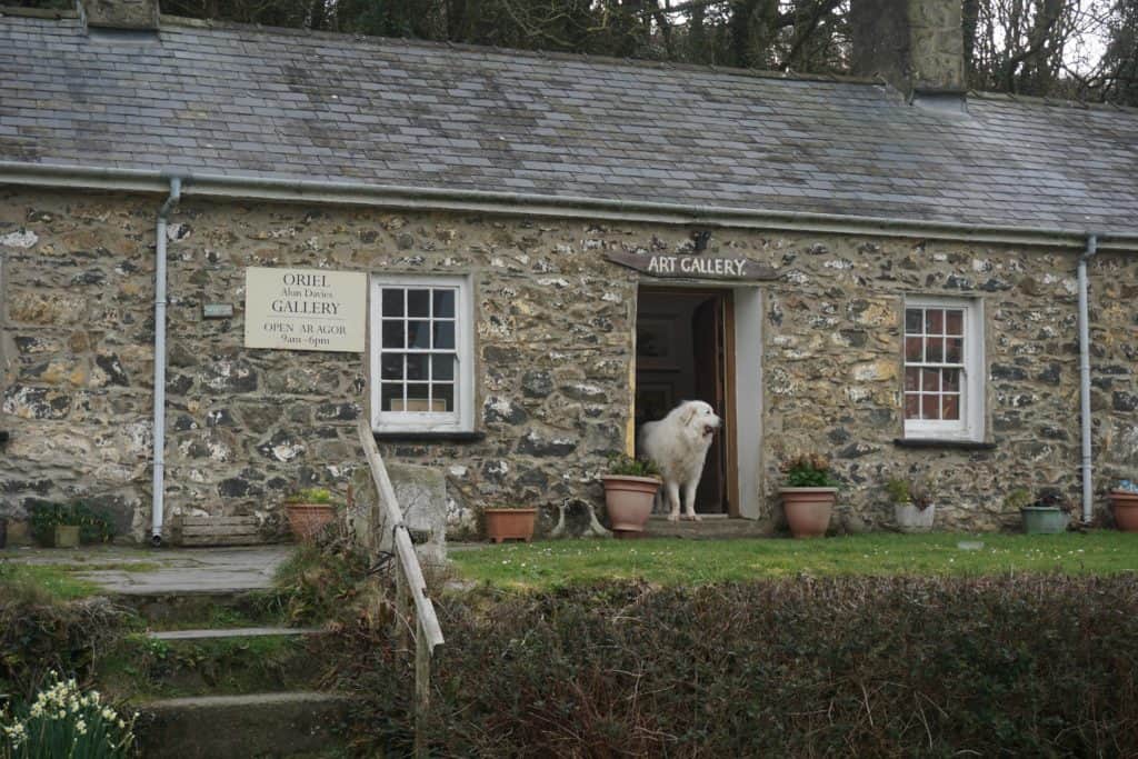 Large white dog in open doorway of a stone building with sign reading Art Gallery overhead.