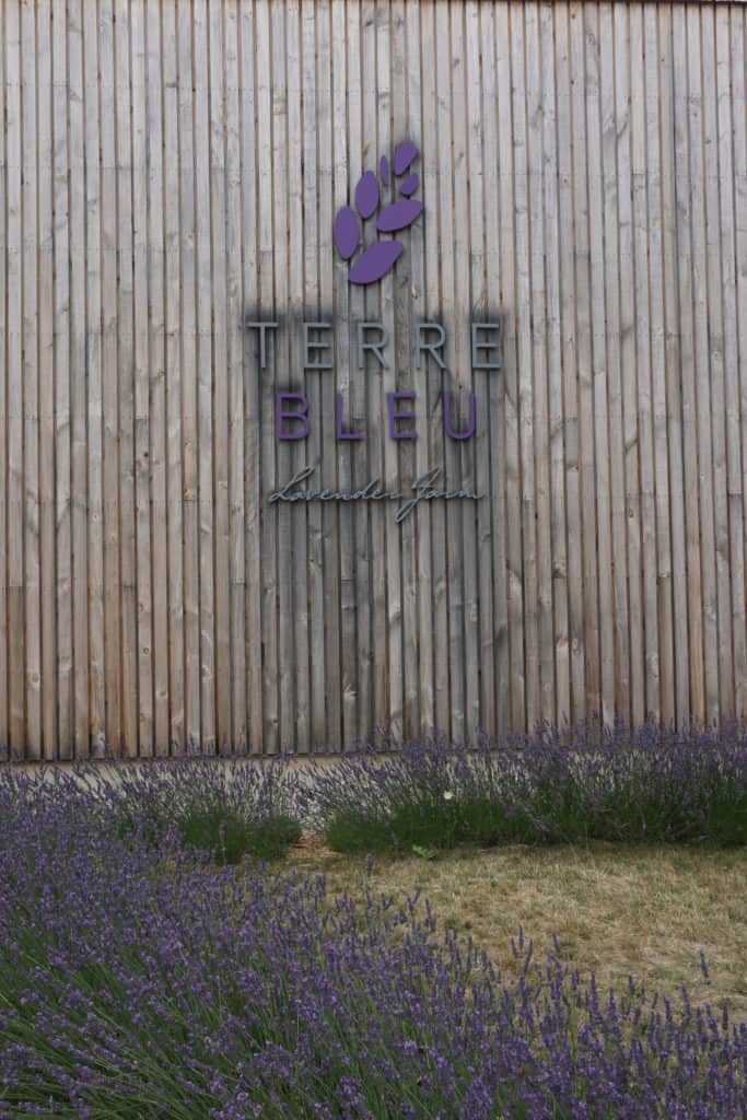 Entrance to Terre Bleu - barn wall with the words Terre Bleu in lavender and lavender plants with purple blossoms on ground.