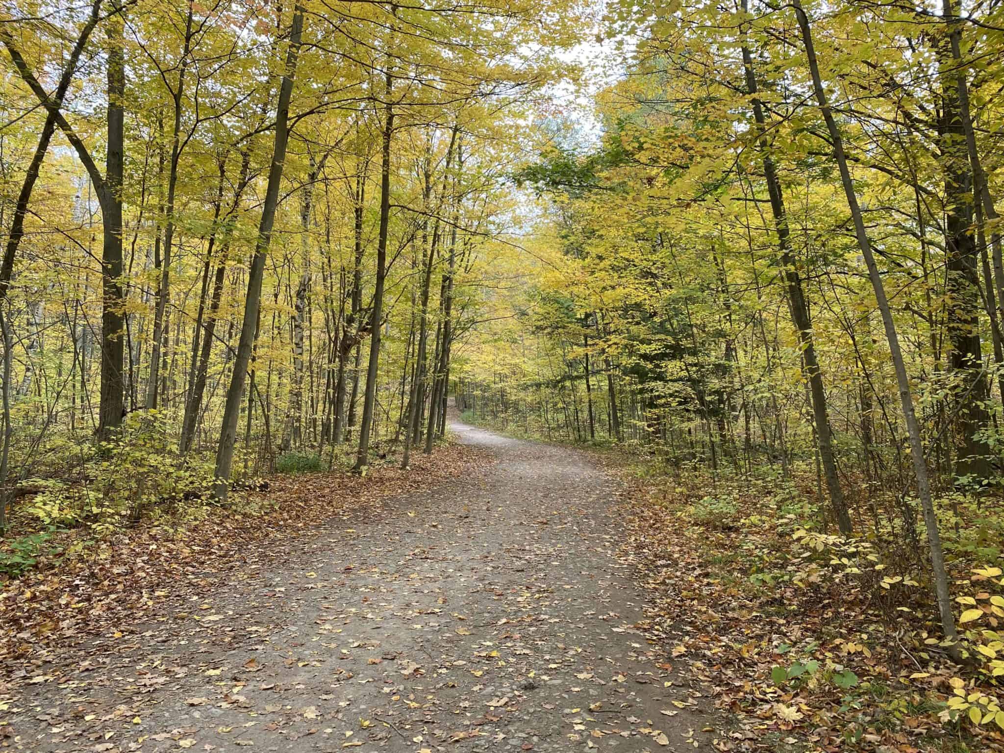 tioga mountain bike trail map