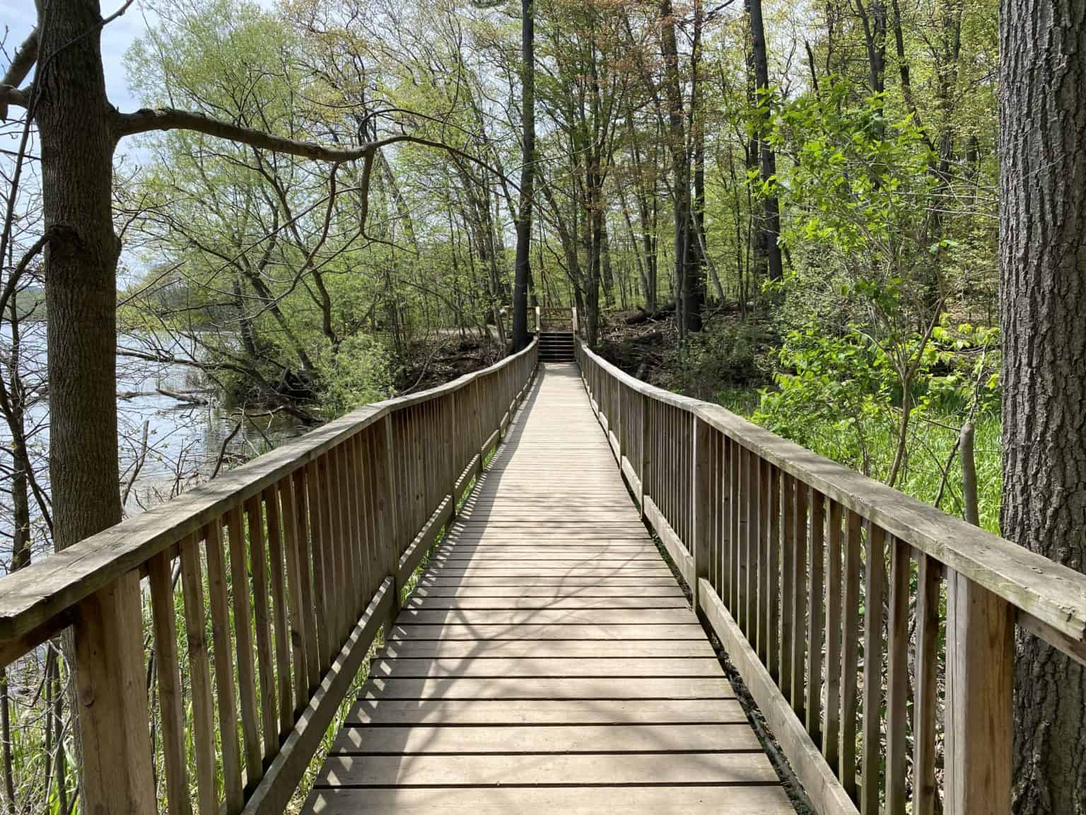 Visiting The Rbg Arboretum: A Hidden Gem In The Gta - Gone With The Family