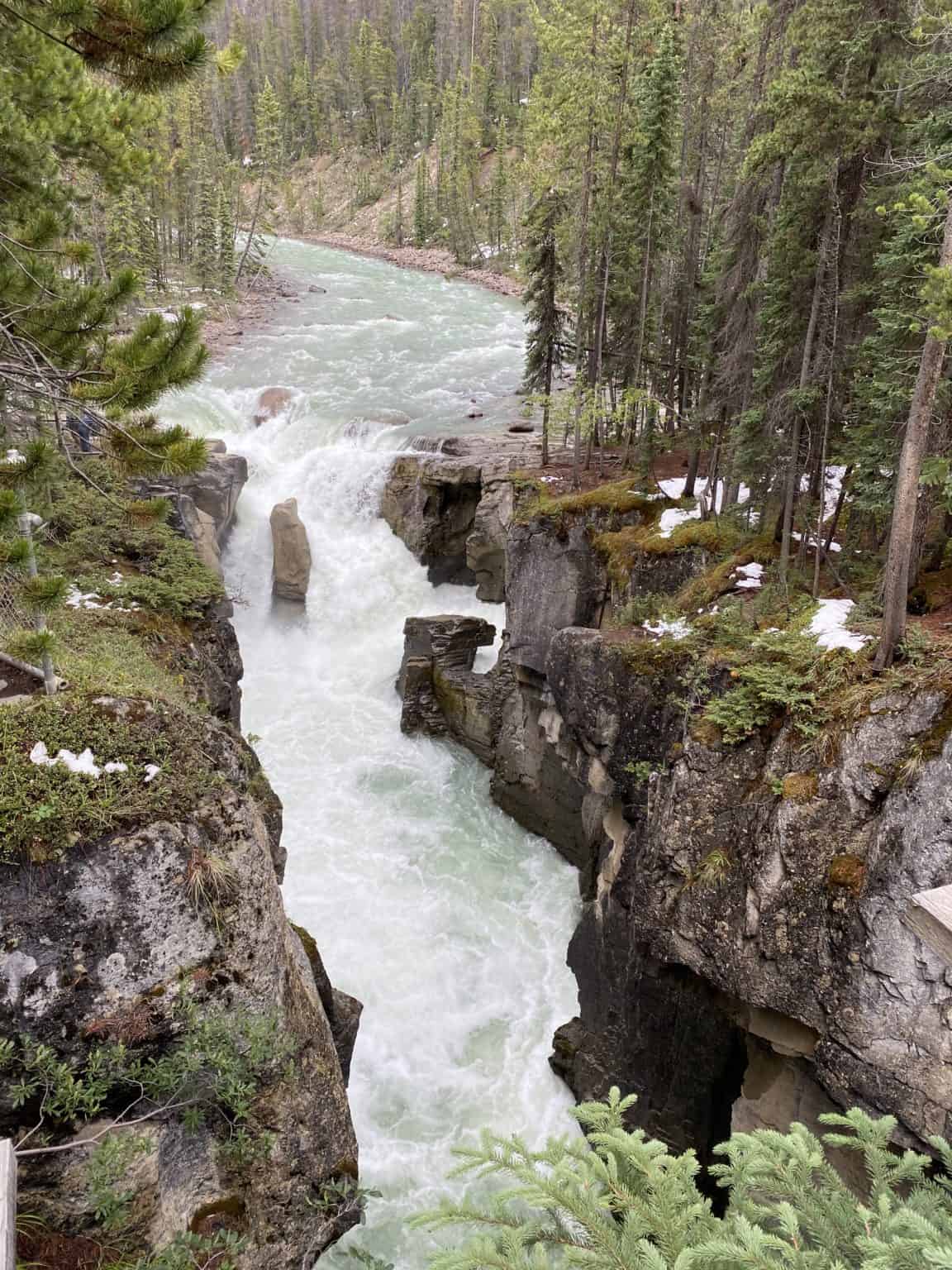 Driving the Scenic Icefields Parkway - Lake Louise to Jasper - Gone ...