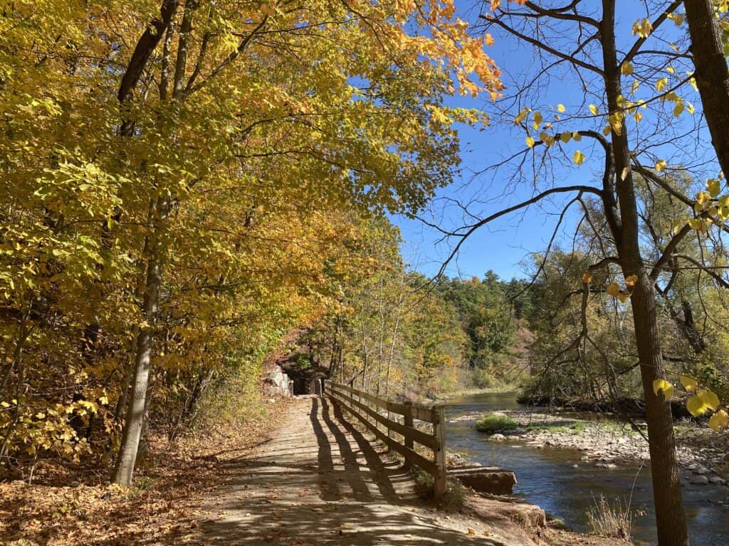 Trees with yellow and green leaves along dirt trail bordered by wooden rail fence and creek to the right.