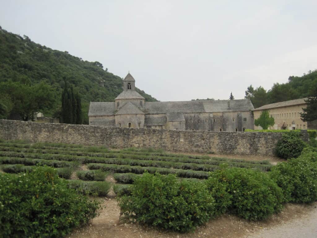 Senanque Abbey with green lavender bushes in front of stone wall with abbey in background.