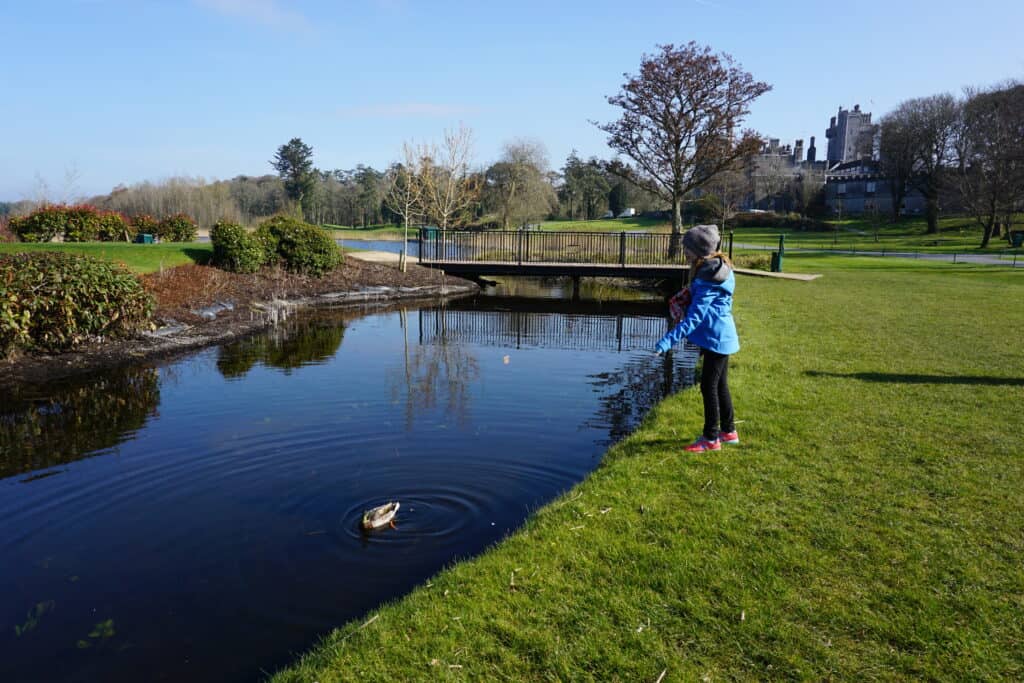 Girl in black pants, blue coat and dark hat feeding ducks in pond with Dromoland Castle in background.