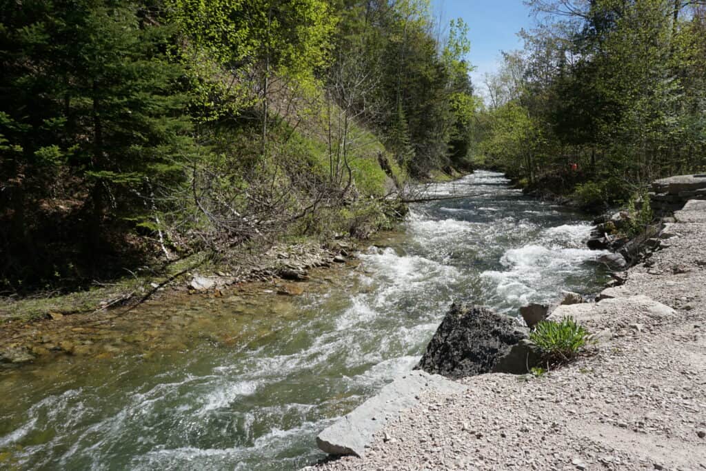 Small, fast-moving river running through wooded area - Kagawong, Manitoulin Island.