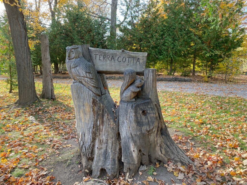 Carving made from large tree stump with owl on left, squirrel on right and word "TERRA COTTA" across the top.