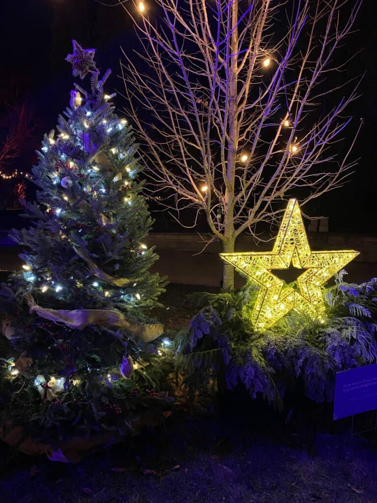 Christmas tree decorated with balls, ribbons and blue lights displayed beside a gold lit-up star in Hendrie Park at the Royal Botanical Gardens as part of Winter Wonders.