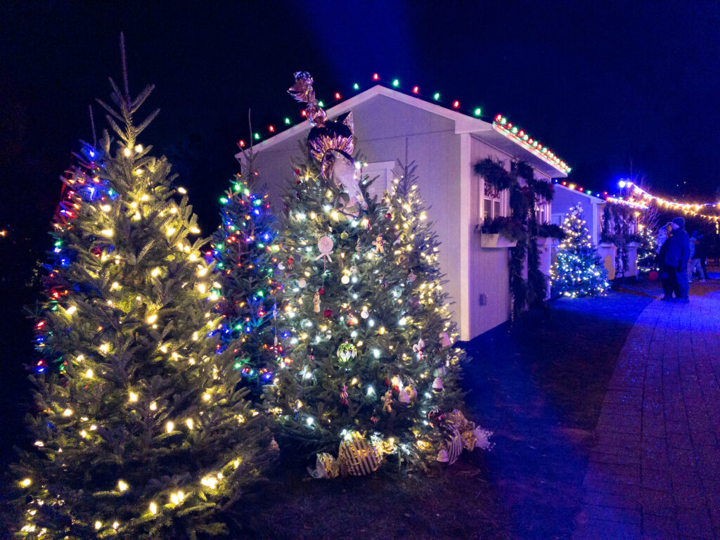 Decorated Christmas trees and sheds outdoors at night in Hendrie Park at the Royal Botanical Gardens.