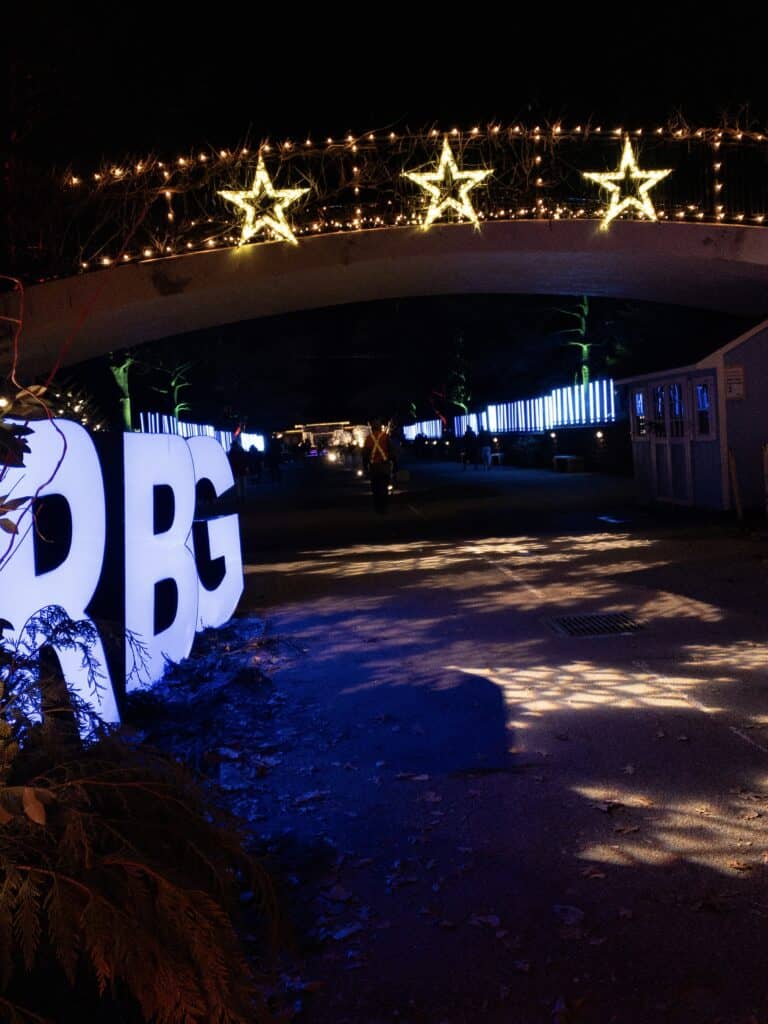 Entrance to Hendrie Park with RBG lights  and stars overhead.