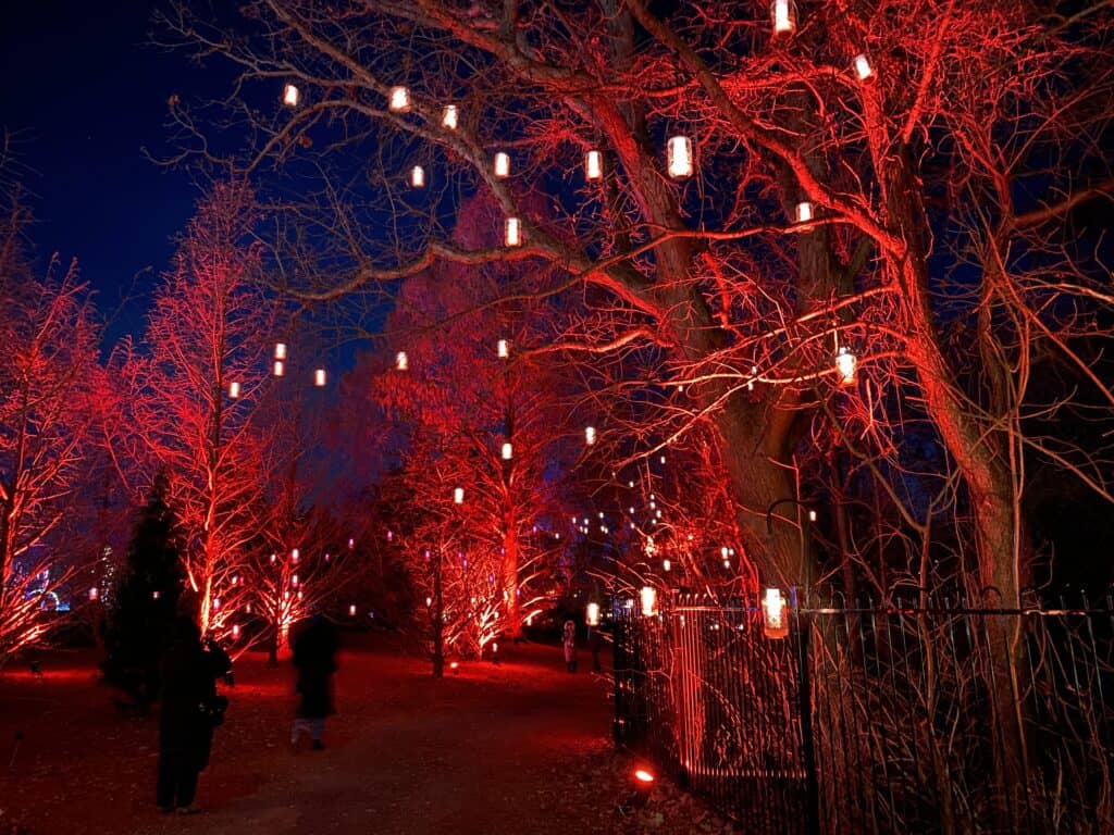 People walking by trees with lanterns and lights casting red glow - Royal Botanical Gardens.