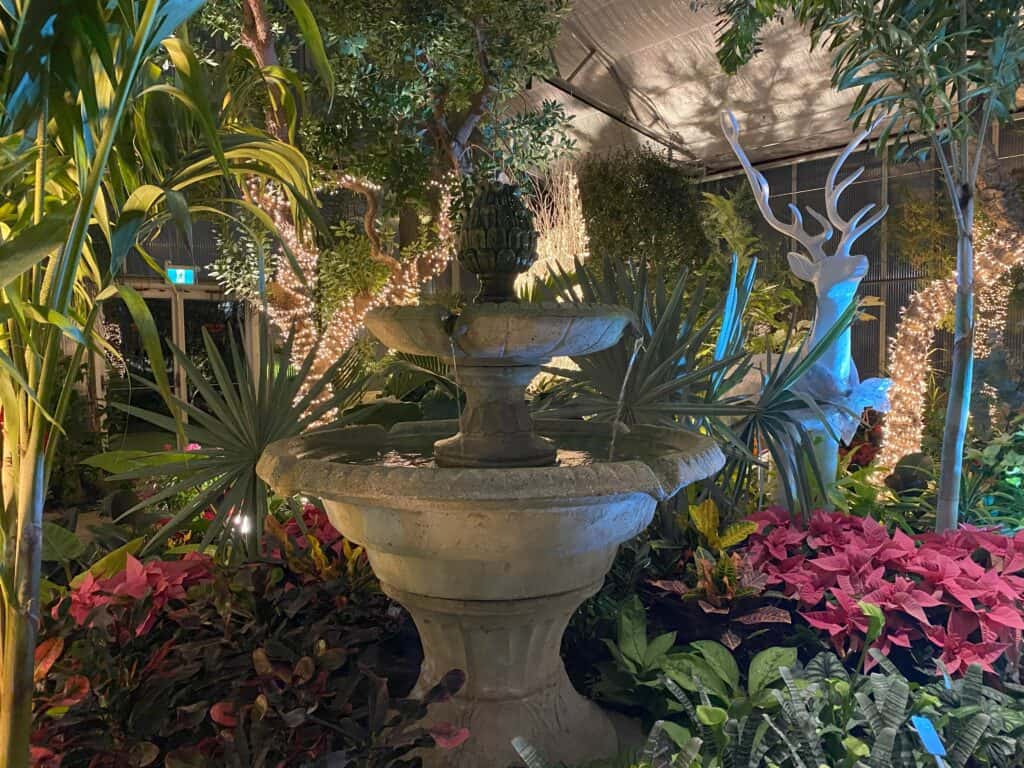 Grey stone fountain and white ceramic deer surrounded by poinsettias and greenery in Mediterranean Garden at RBG.