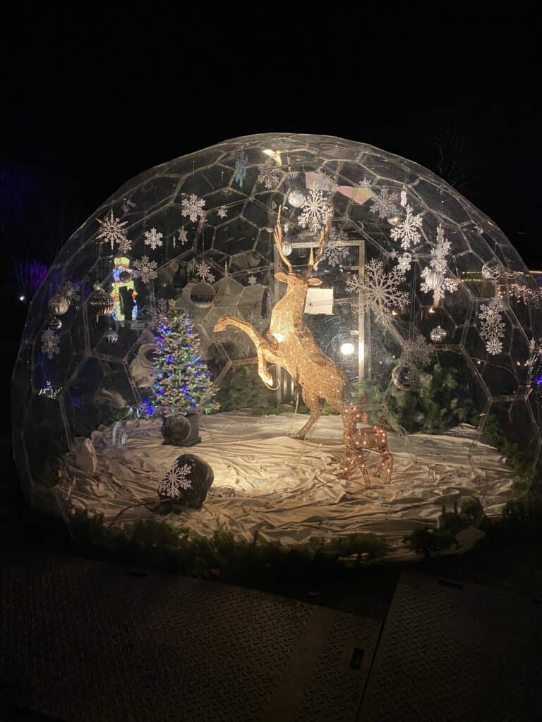 Outdoor snow globe with scene of adult deer and fawn, Christmas tree, snowflakes - Royal Botanical Gardens Winter Wonders event.