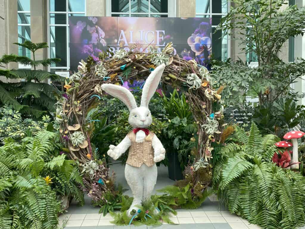 White rabbit in gold vest and red bow tie surrounded by greenery in front of Alice in Bloomland sign at Royal Botanical Gardens in Burlington, Ontario.