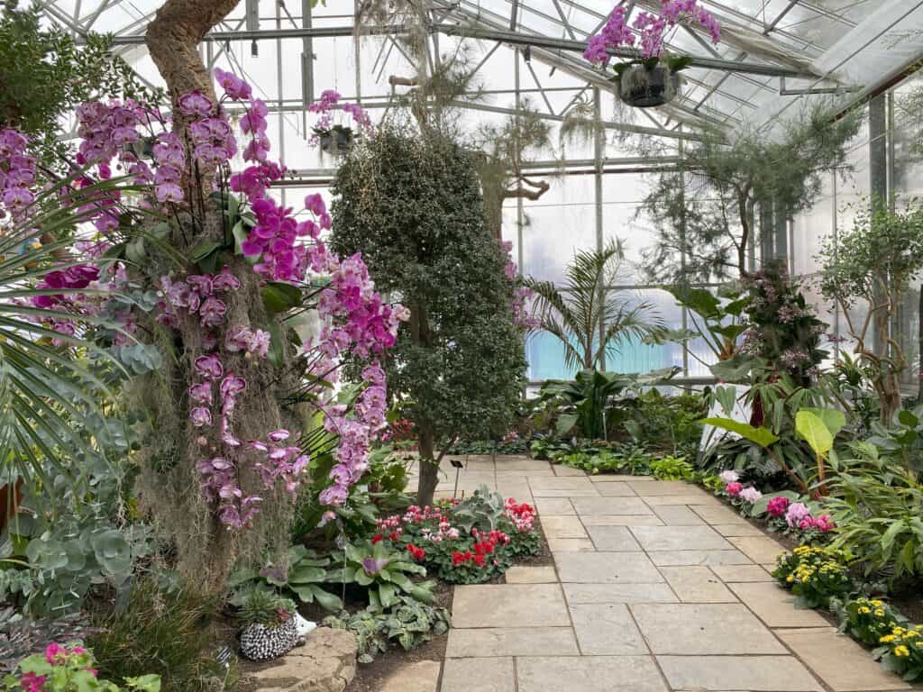 Pathway through greenery and flowers on main level of the Mediterranean Garden at Royal Botanical Gardens during the Alice in Bloomland winter showcase.